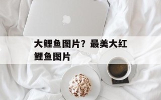 大鲤鱼图片？最美大红鲤鱼图片