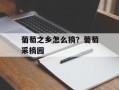 葡萄之乡怎么摘？葡萄采摘园