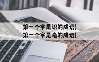 第一个字是识的成语(第一个字是毫的成语)