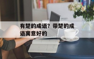 有楚的成语？带楚的成语寓意好的