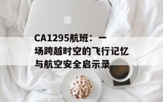 CA1295航班：一场跨越时空的飞行记忆与航空安全启示录
