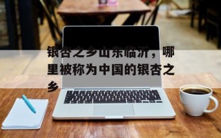 银杏之乡山东临沂，哪里被称为中国的银杏之乡