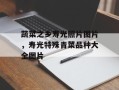 蔬菜之乡寿光照片图片，寿光特殊青菜品种大全图片