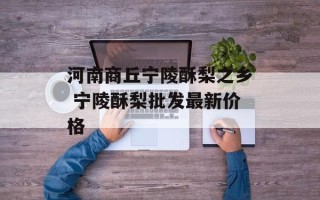 河南商丘宁陵酥梨之乡 宁陵酥梨批发最新价格