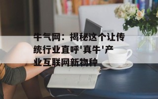 牛气网：揭秘这个让传统行业直呼'真牛'产业互联网新物种