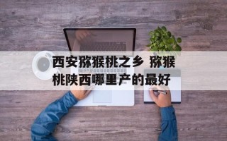 西安猕猴桃之乡 猕猴桃陕西哪里产的最好