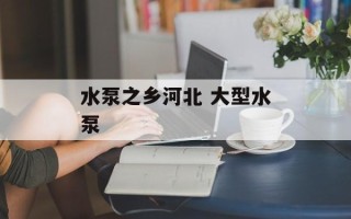 水泵之乡河北 大型水泵
