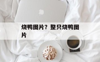 烧鸭图片？整只烧鸭图片