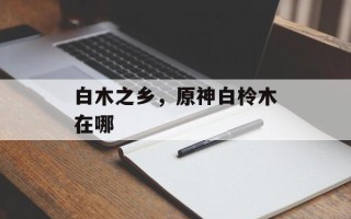 白木之乡，原神白柃木在哪
