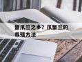 蟹爪兰之乡？爪蟹兰的养殖方法