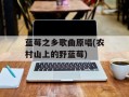 蓝莓之乡歌曲原唱(农村山上的野蓝莓)