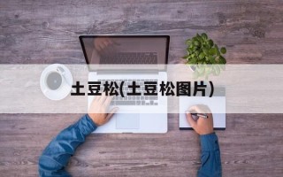 土豆松(土豆松图片)