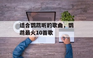 适合鹦鹉听的歌曲，鹦鹉最火10首歌