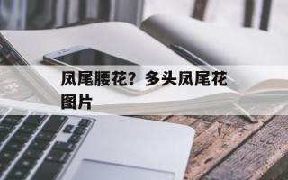 凤尾腰花？多头凤尾花图片