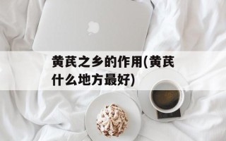 黄芪之乡的作用(黄芪什么地方最好)