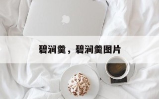 碧涧羹，碧涧羹图片