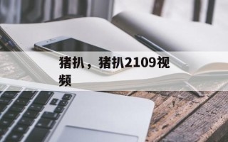 猪扒，猪扒2109视频
