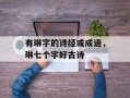有琳字的诗经或成语，琳七个字好古诗