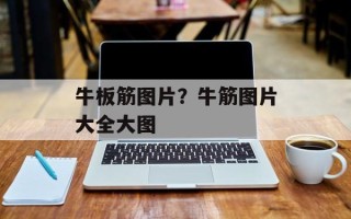 牛板筋图片？牛筋图片大全大图