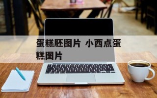 蛋糕胚图片 小西点蛋糕图片