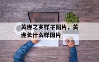 黄连之乡样子图片，黄连长什么样图片