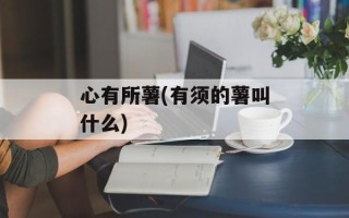 心有所薯(有须的薯叫什么)