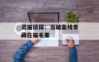 灵猫侦探：当破案线索藏在猫毛里