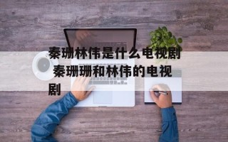 秦珊林伟是什么电视剧 秦珊珊和林伟的电视剧