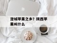澄城苹果之乡？陕西苹果叫什么