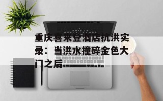 重庆喜来登酒店抗洪实录：当洪水撞碎金色大门之后