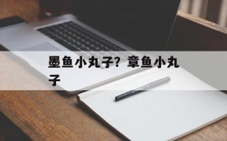 墨鱼小丸子？章鱼小丸子