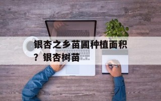银杏之乡苗圃种植面积？银杏树苗
