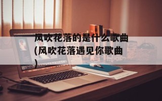 风吹花落的是什么歌曲(风吹花落遇见你歌曲)