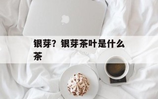 银芽？银芽茶叶是什么茶