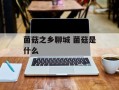 菌菇之乡聊城 菌菇是什么