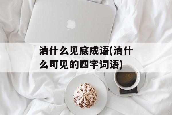 清什么见底成语(清什么可见的四字词语)-第1张图片-