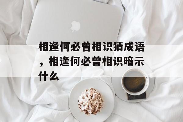 相逢何必曾相识猜成语，相逢何必曾相识暗示什么-第1张图片-