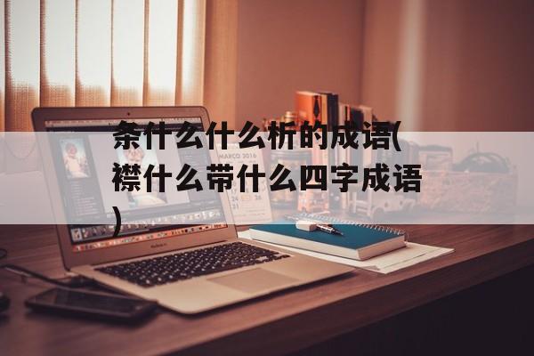 条什么什么析的成语(襟什么带什么四字成语)-第1张图片-