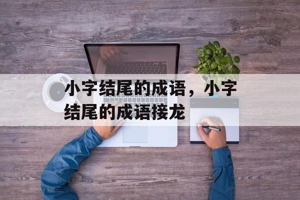 小字结尾的成语，小字结尾的成语接龙-第1张图片-