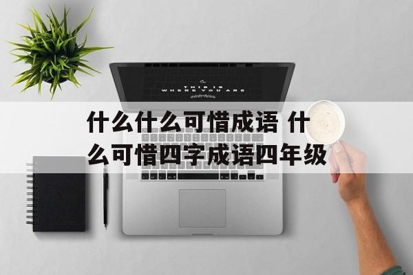 什么什么可惜成语 什么可惜四字成语四年级-第1张图片-