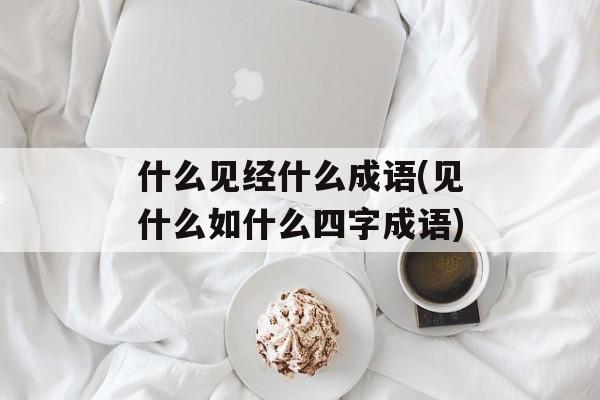 什么见经什么成语(见什么如什么四字成语)-第1张图片-