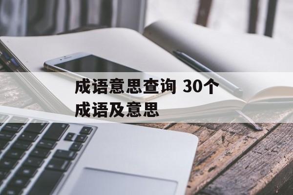 成语意思查询 30个成语及意思-第1张图片-