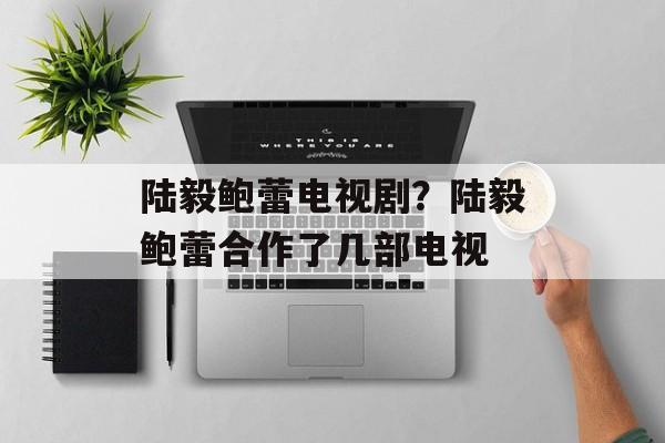 陆毅鲍蕾电视剧？陆毅鲍蕾合作了几部电视-第1张图片-