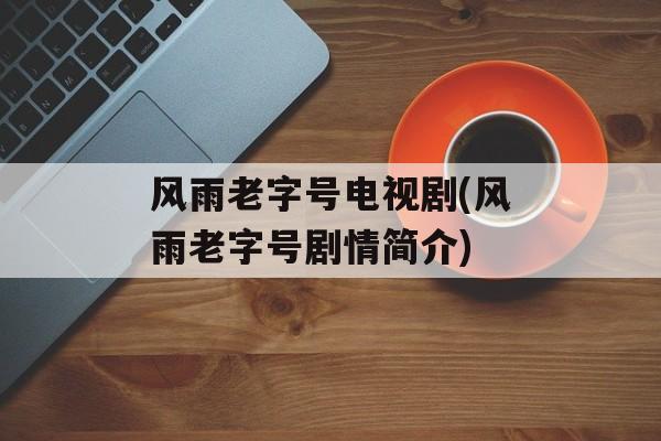 风雨老字号电视剧(风雨老字号剧情简介)-第1张图片-