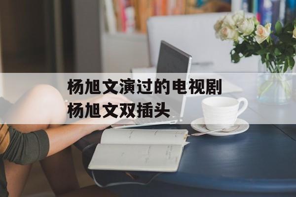 杨旭文演过的电视剧 杨旭文双插头-第1张图片-