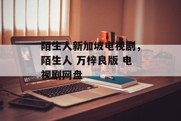 陌生人新加坡电视剧，陌生人 万梓良版 电视剧网盘-第1张图片-