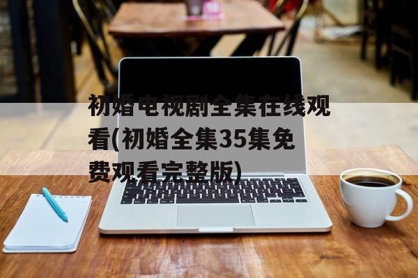 初婚电视剧全集在线观看(初婚全集35集免费观看完整版)-第1张图片-