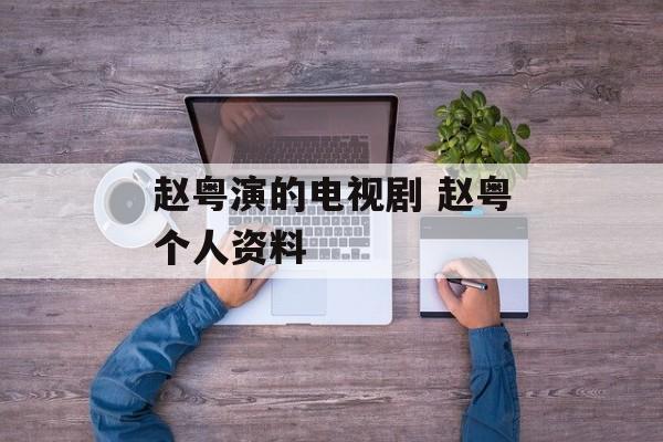赵粤演的电视剧 赵粤个人资料-第1张图片-