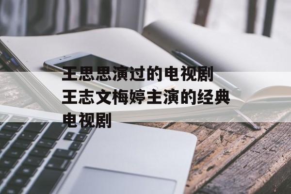 王思思演过的电视剧 王志文梅婷主演的经典电视剧-第1张图片-
