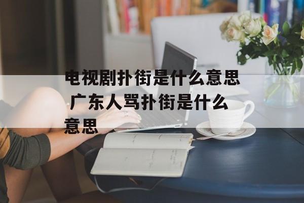 电视剧扑街是什么意思 广东人骂扑街是什么意思-第1张图片-